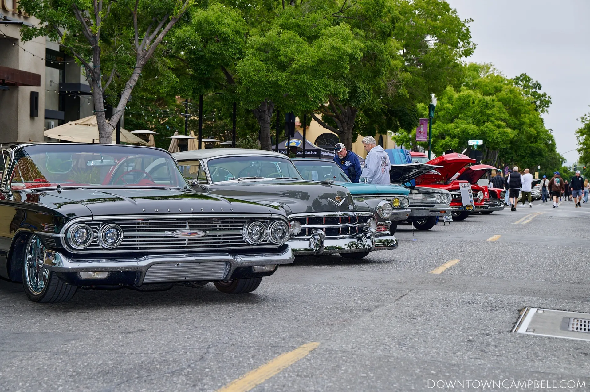 A diagonal row of  classic cars lines up along a main street positioned with their fronts facing out for a car show. The photo looks down the line past the brightly polished chrome grills and bumpers of the classic autos.